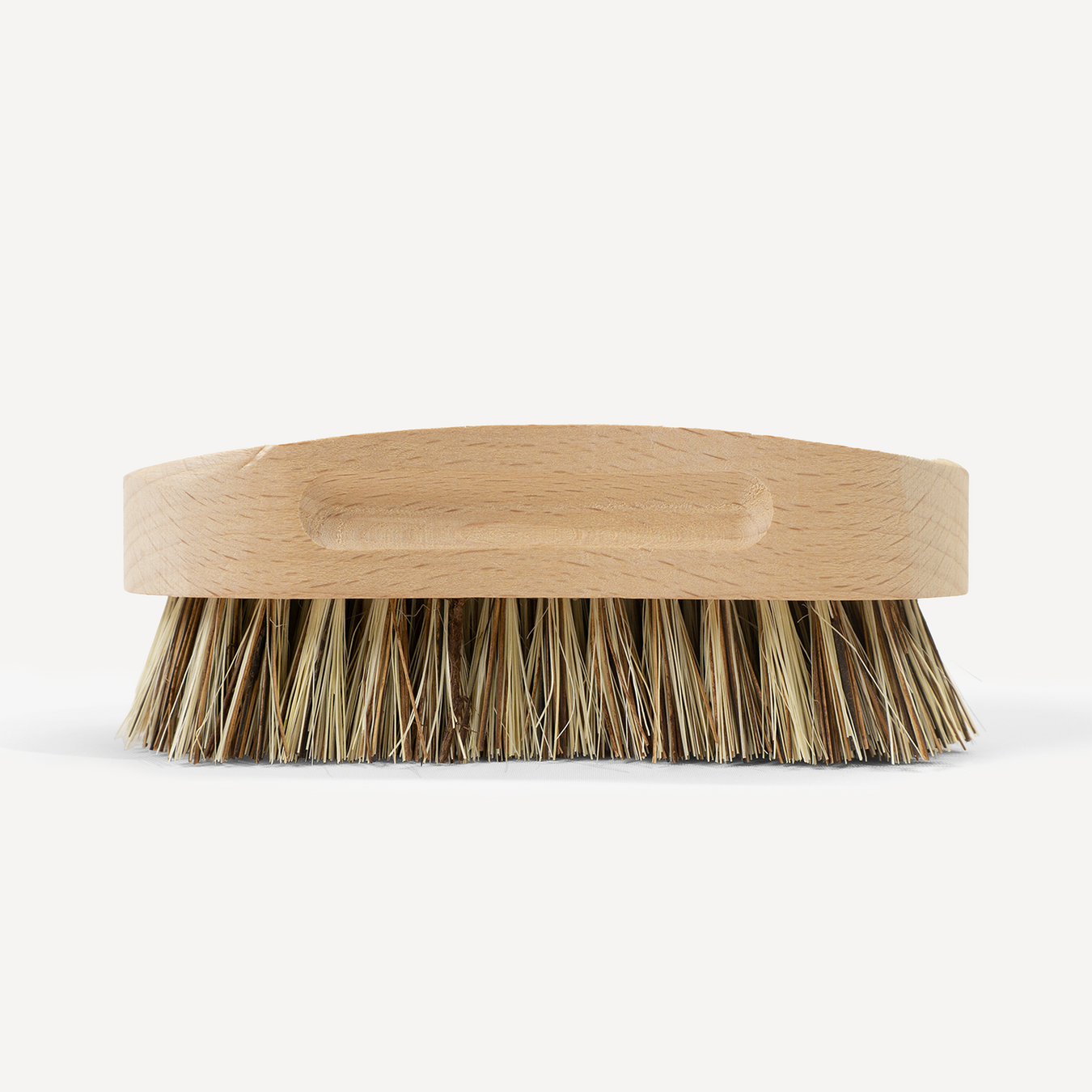 Sustainable Brushes